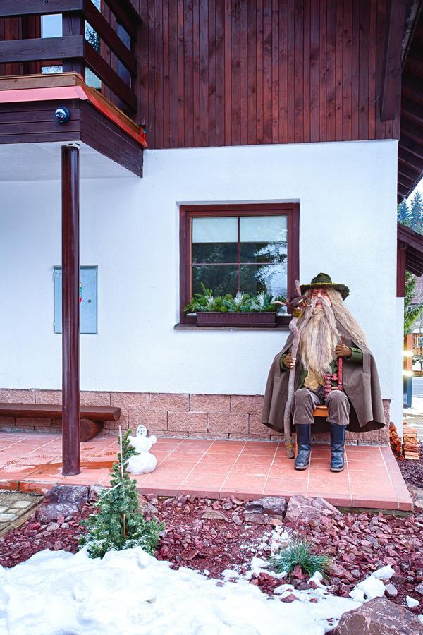 Vila Jensen Harrachov Ngoại thất bức ảnh